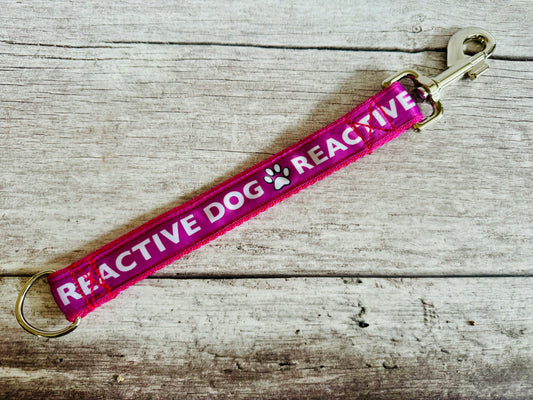 Reactive Dog Alert Short Extension Dog Lead / Leash