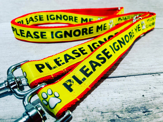 Please Ignore Dog Ribbon Lead/Leash