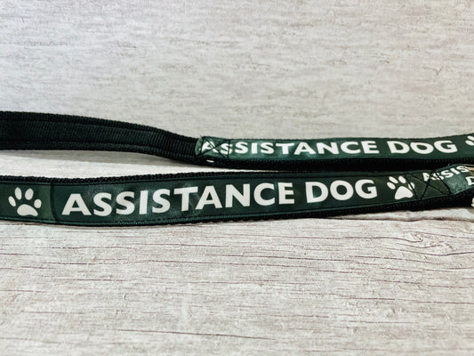 Assistance Dog Ribbon Dog Lead/Leash - View 2