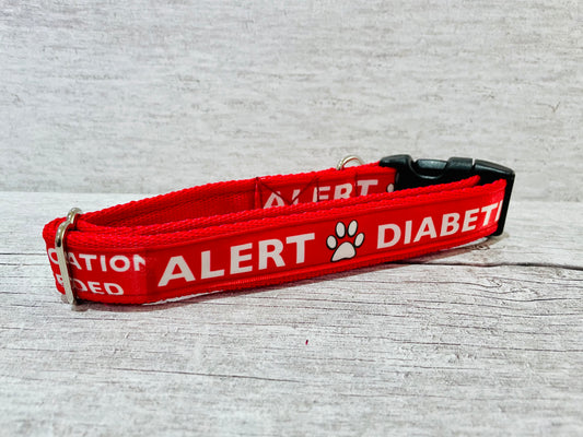 Diabetic - Medical Alert Dog Collar