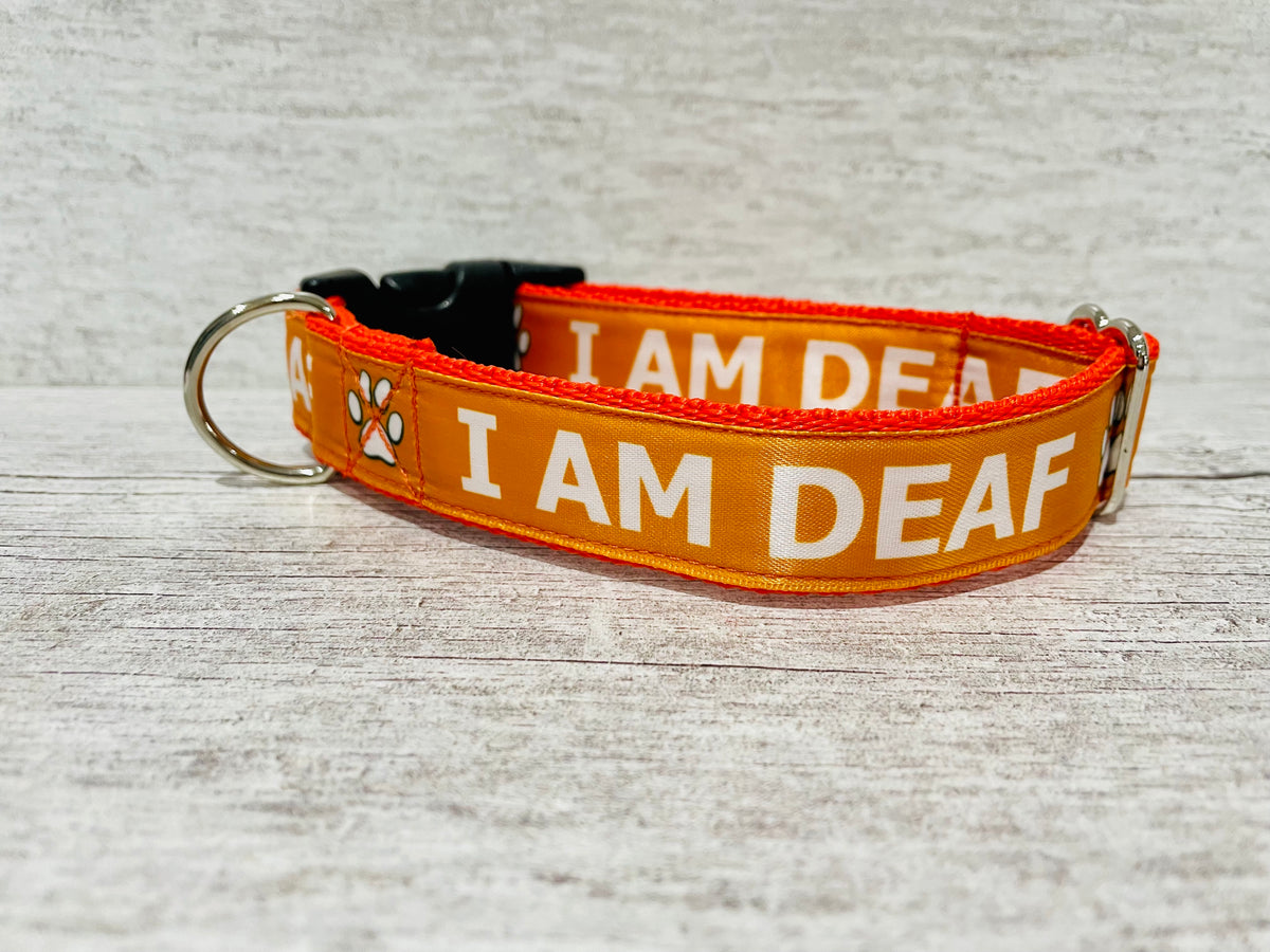 Deaf dog outlet collar