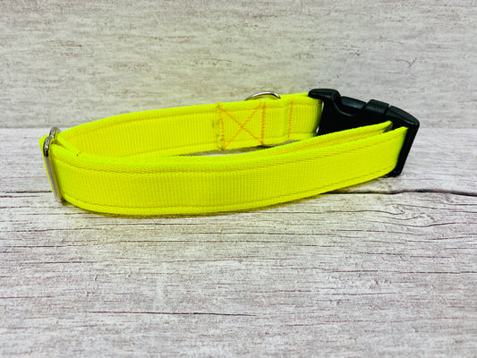 Plain Bright Yellow Hi-Viz Cushioned Webbing Dog Collar