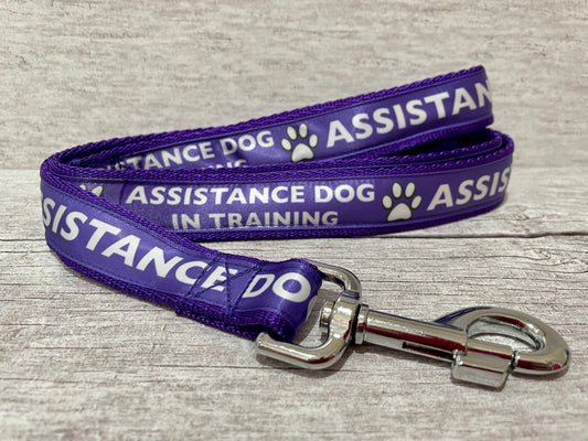 In Training - Assistance Dog Ribbon Dog Lead/Leash