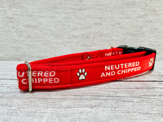 Neutered and Chipped Dog Collar
