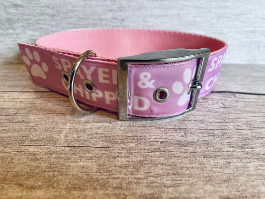 Spayed and Chipped Dog Collar