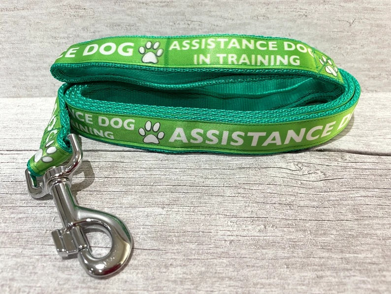 In Training - Assistance Dog Ribbon Dog Lead/Leash