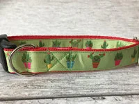 Cactus Inspired Dog Collar 4