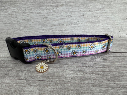 Pastel Checker Daisy Dog Collar - Handmade in the UK | Dottie's Pet Boutique