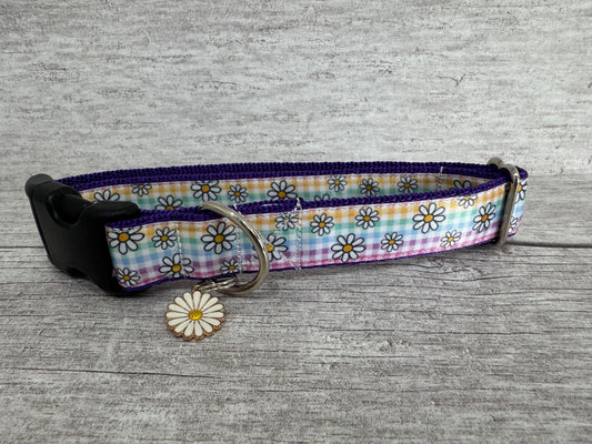 Pastel Checker Daisy Dog Collar