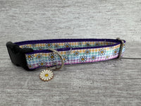 Pastel Checker Daisy Kitten/Cat Collar
