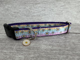 Pastel Checker Daisy Kitten/Cat Collar