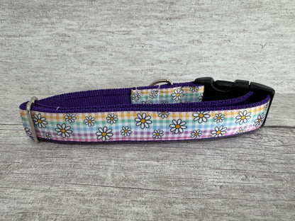 Pastel Checker Daisy Dog Collar - View 2 | Dottie's Pet Boutique