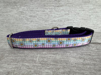 Pastel Checker Daisy Kitten/Cat Collar