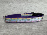 Pastel Checker Daisy Kitten/Cat Collar