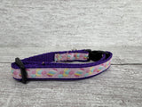 Marshmallow Puppy/Small Dog Collar