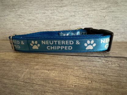 Neutered and Chipped Dog Collar