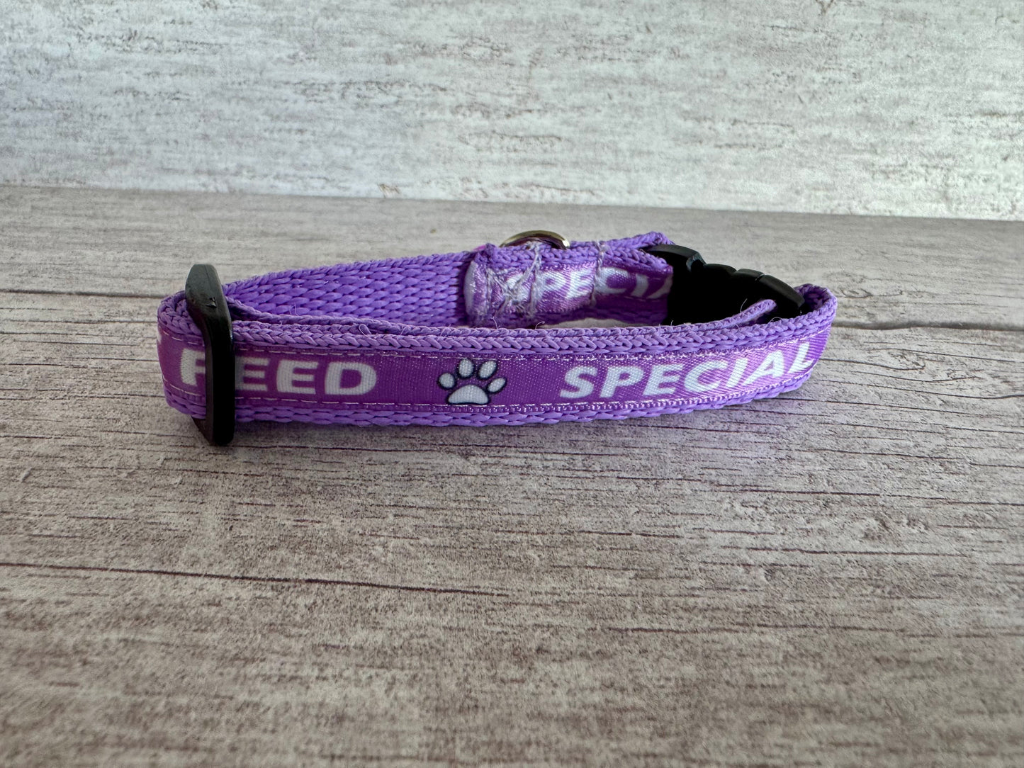 Special Diet - Do Not Feed Ribbon Medical Alert Cat Collar