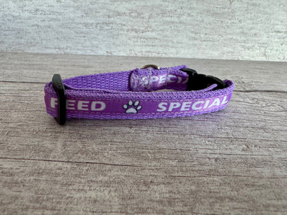 Special Diet - Do Not Feed Ribbon Medical Alert Cat Collar