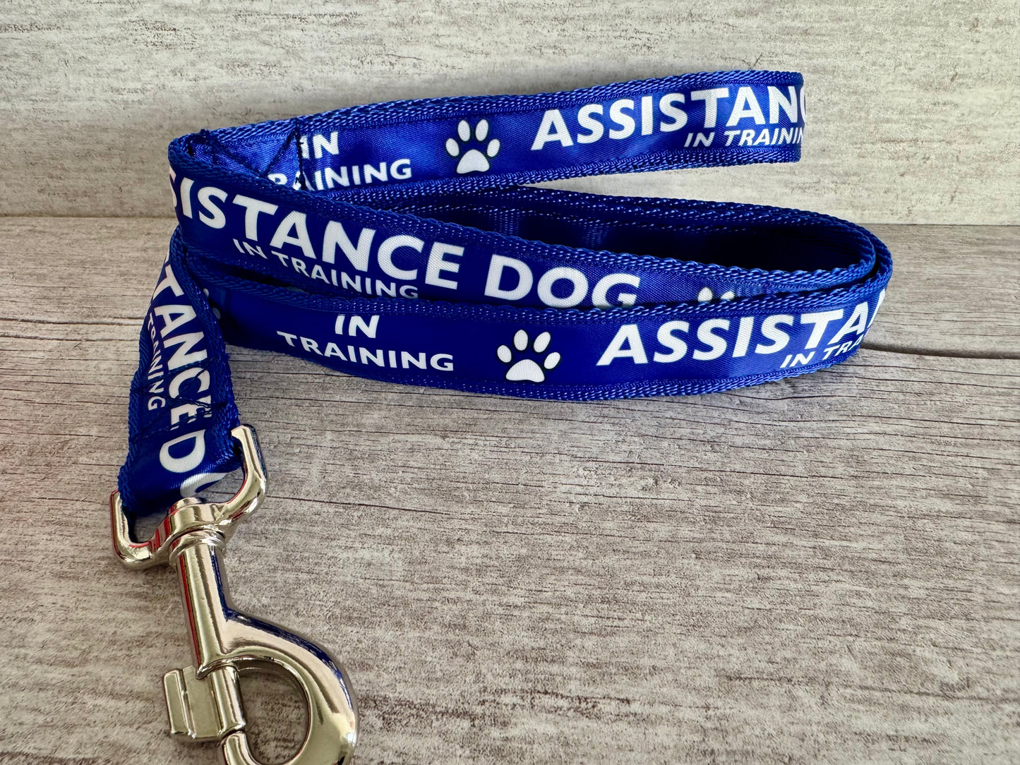 In Training Assistance Alert Dog Collar