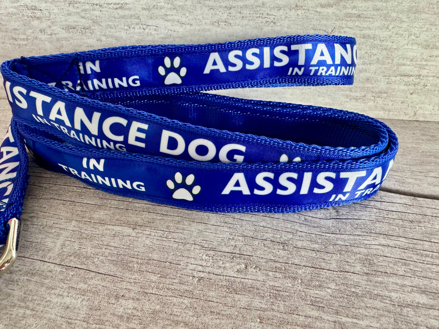 In Training Assistance Alert Dog Collar