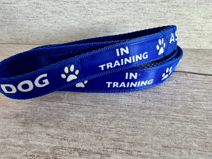 In Training Assistance Alert Dog Collar