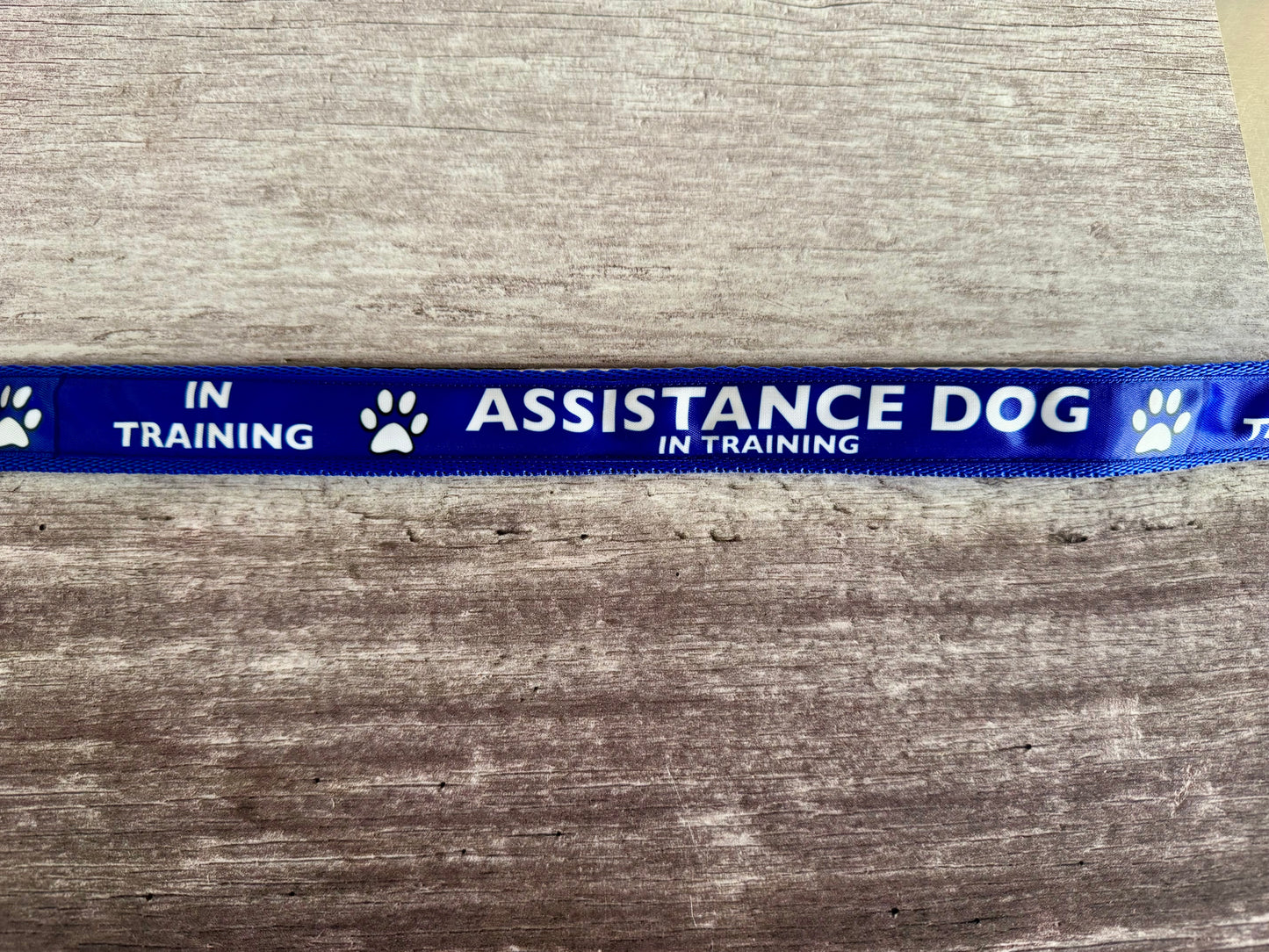 In Training Assistance Alert Dog Collar