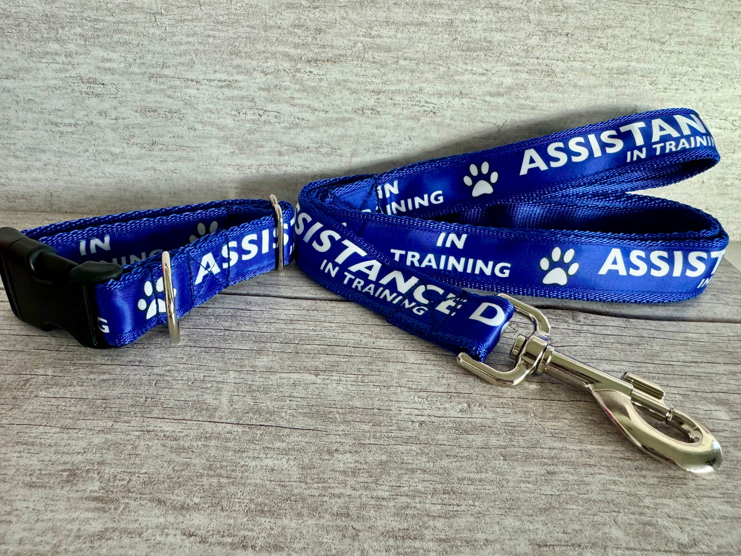 In Training Assistance Alert Dog Collar