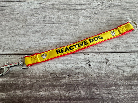 Reactive Dog Alert Short Extension Dog Lead | UK