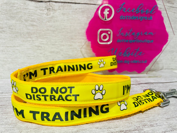 SALE - In Training Do Not Distract Lead - Yellow - 36" Length