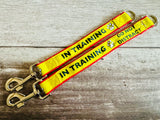 In Training Alert Short Extension Dog Lead / Leash