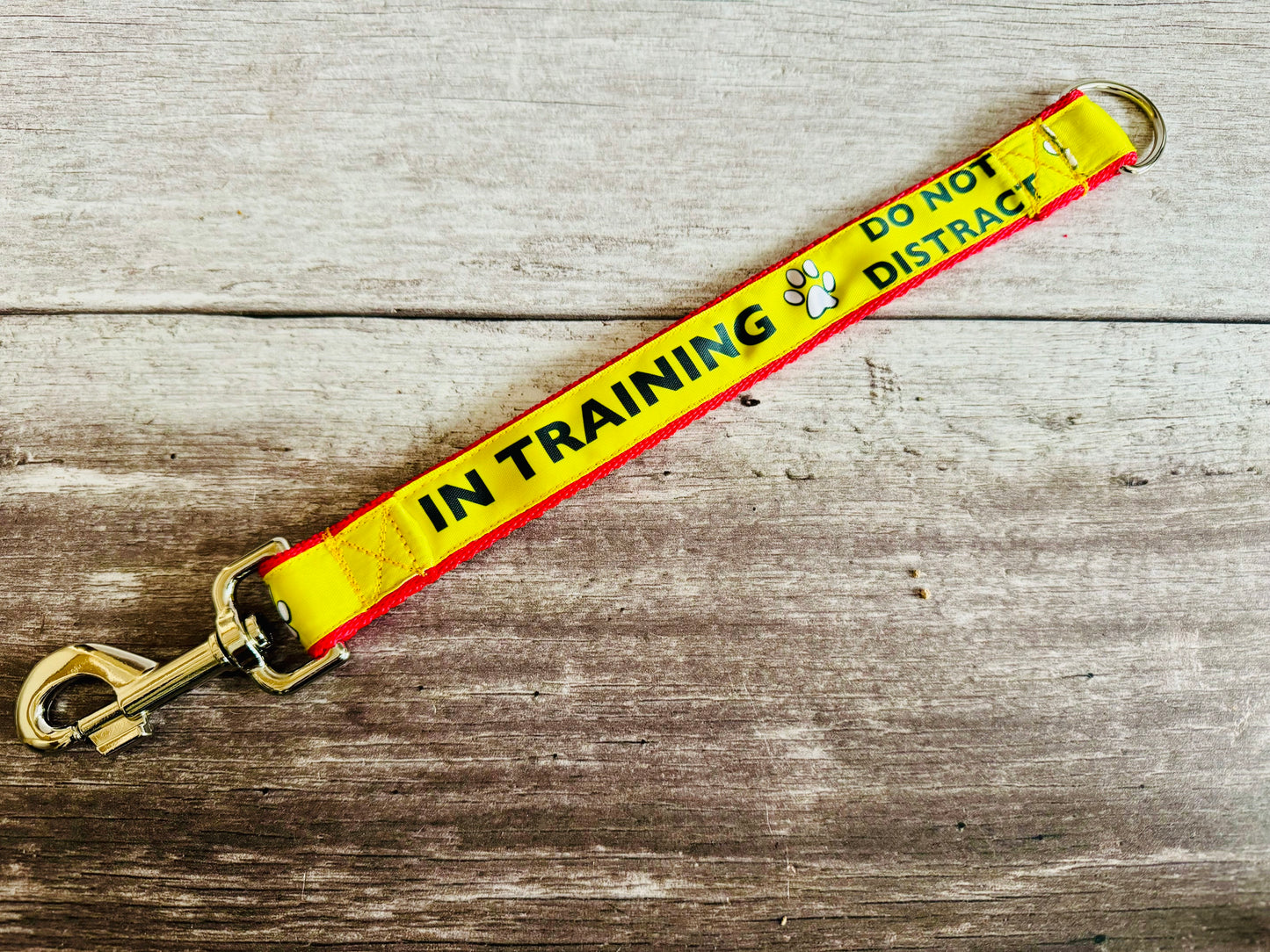 In Training Alert Short Extension Dog Lead - View 3 | Dottie's Pet Boutique