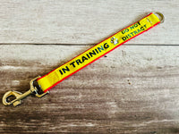 In Training Alert Short Extension Dog Lead / Leash