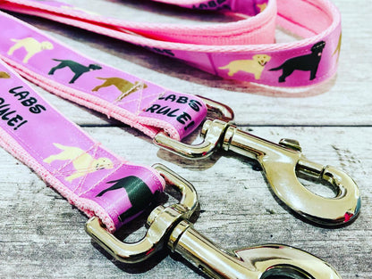 Ribbon Police Training Lead Alert - View 2 | Dottie's Pet Boutique