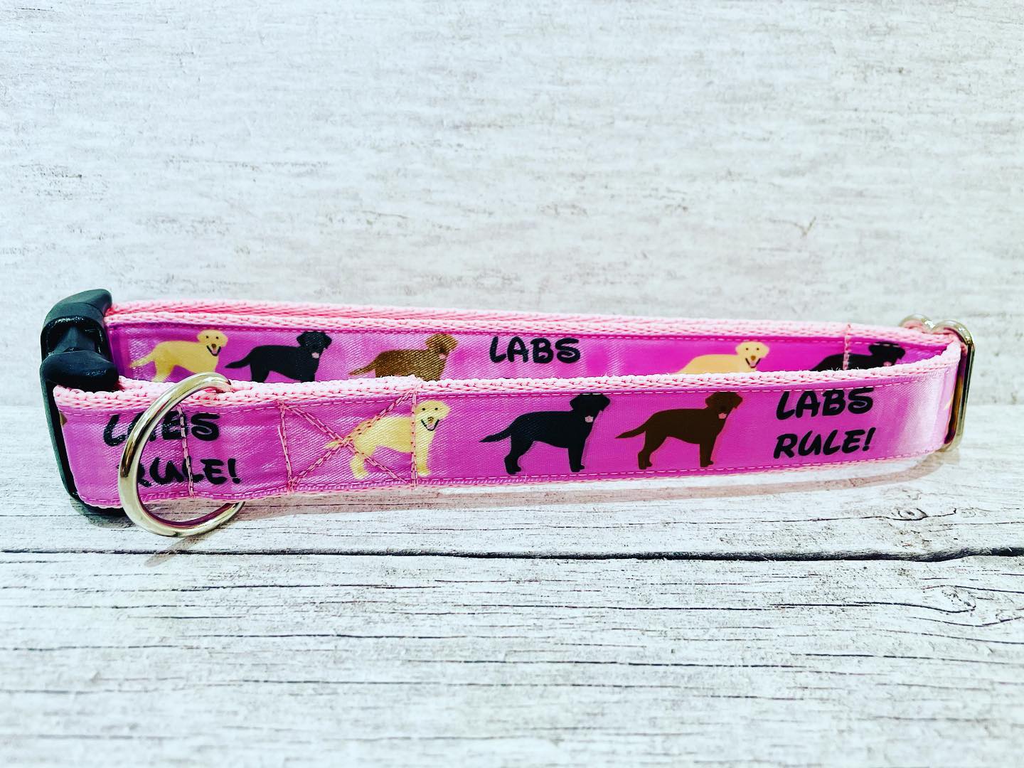 Labs Rules Dog Collar Labrador Rules - View 9 | Dottie's Pet Boutique
