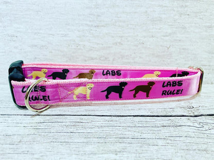 Labs Rules Dog Collar Labrador Rules - View 9 | Dottie's Pet Boutique