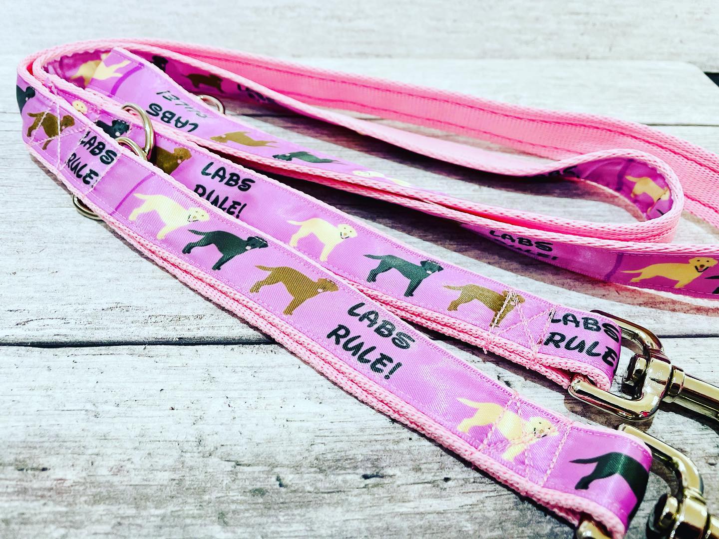 Labs Rules Dog Collar Labrador Rules - View 10 | Dottie's Pet Boutique
