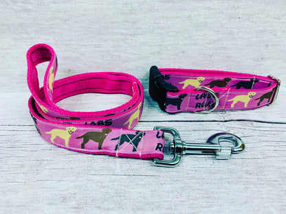 Labs Rules Dog Collar Labrador Rules - View 3 | Dottie's Pet Boutique