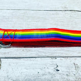 Colourful Rainbow Ribbon Dog Collar