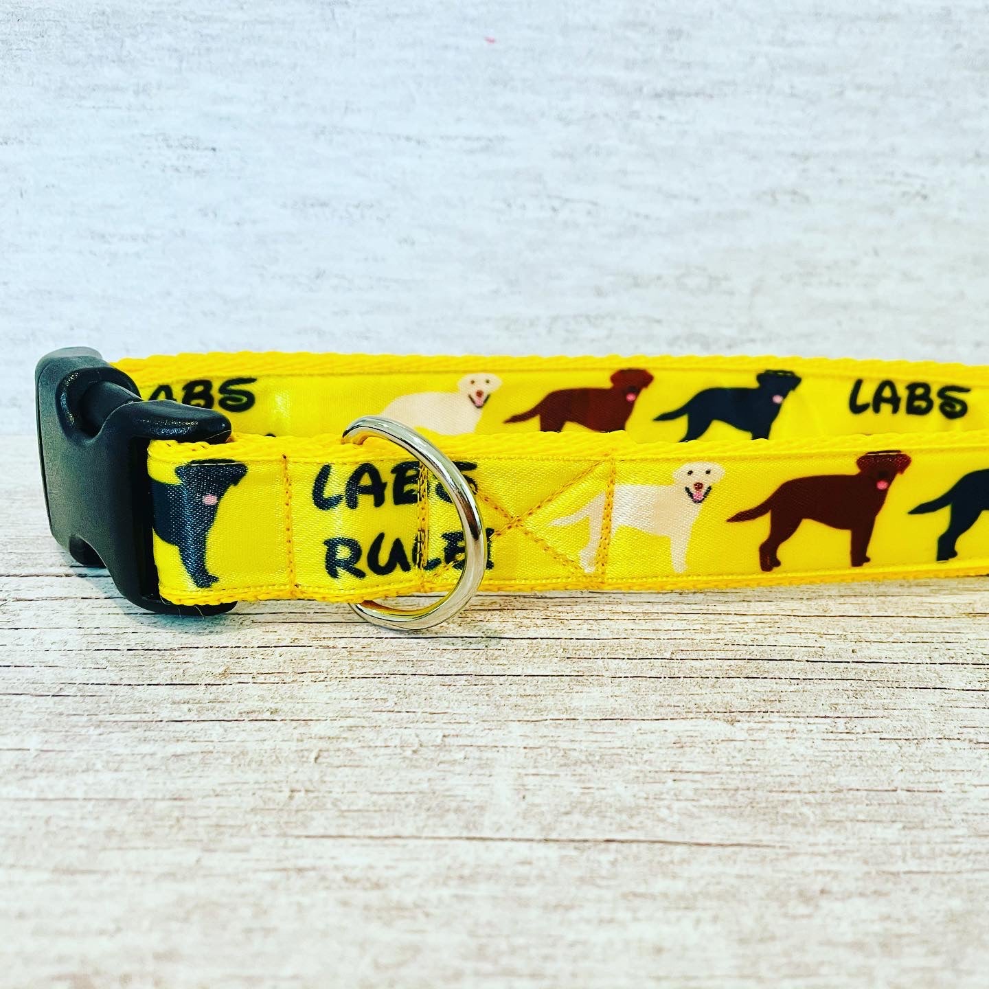 Labs Rules Dog Collar Labrador Rules - View 7 | Dottie's Pet Boutique