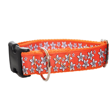 Orange Daisy Flowers Dog Collar - Handmade in the UK | Dottie's Pet Boutique