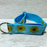 Blue Sunflower Heads Dog Collar