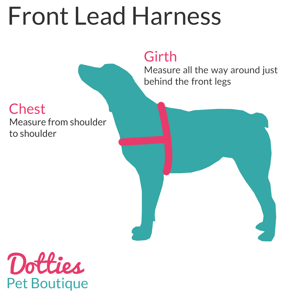 Personalised Ribbon Print Front Lead Harness - View 4 | Dottie's Pet Boutique