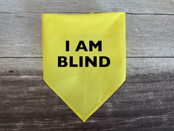 I am Blind Dog Bandana - Tie on