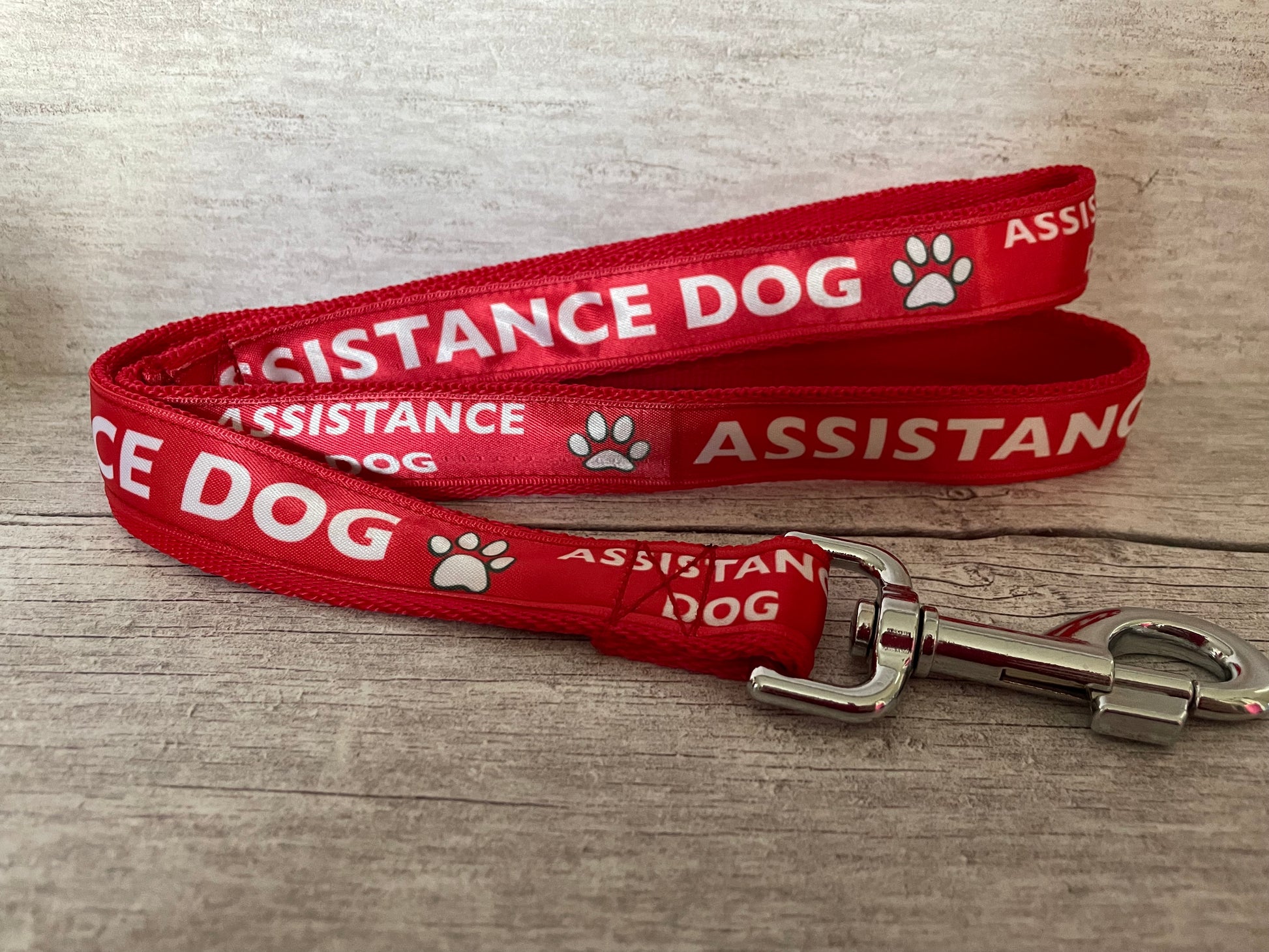 Assistance Dog Ribbon Dog Lead/Leash - Handmade dog collar by Dottie's Pet Boutique