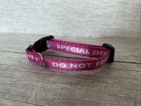 Special Diet - Do Not Feed Ribbon Kitten/Cat Collar - ANY COLOUR