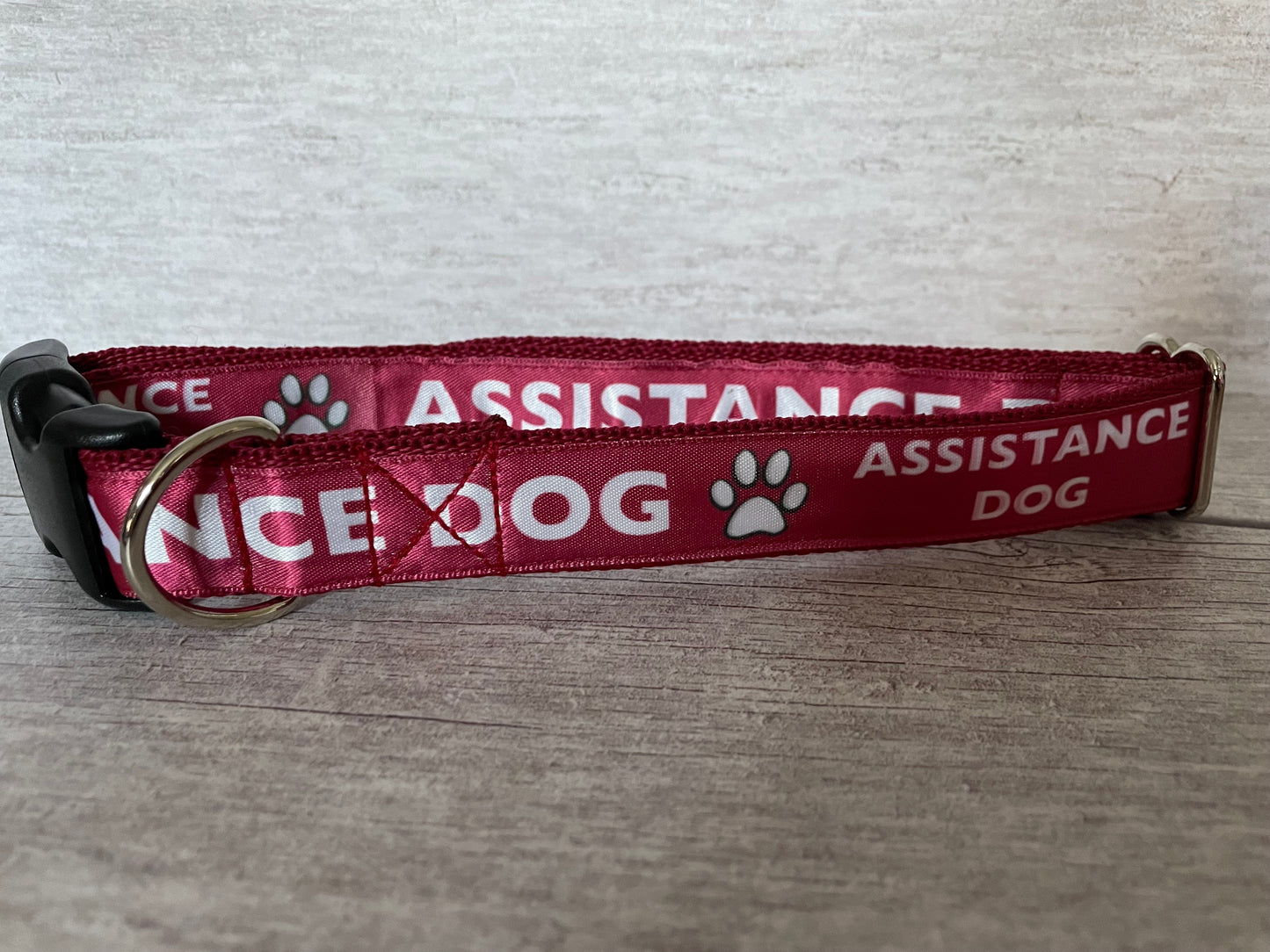 Assistance Dog Collar - View 4 | Dottie's Pet Boutique