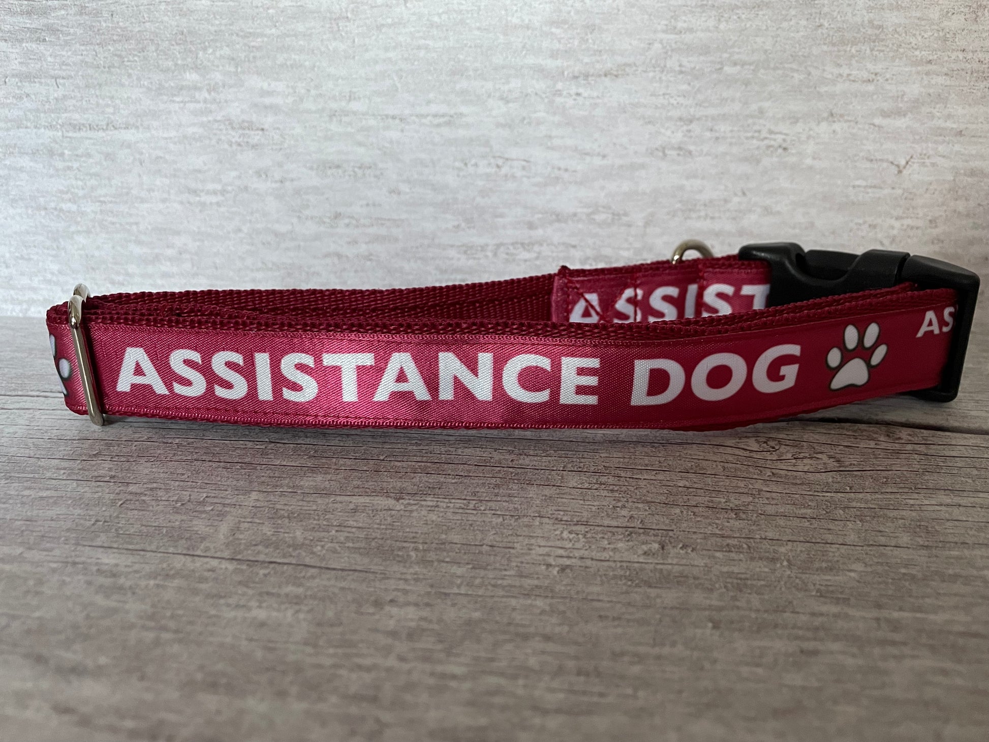 Assistance Dog Collar - View 3 | Dottie's Pet Boutique