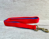 Two Tone Plain Traffic Handle and Padded Handle Lead