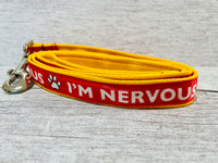 Red Ribbon Nervous Dog Ribbon Lead/Leash