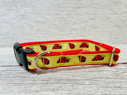 Ladybird Ladybug Insect Dog Collar - Handmade in the UK | Dottie's Pet Boutique